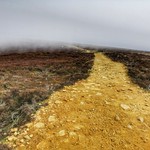 Walking into the unknown