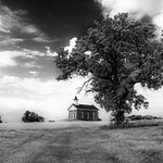 With Wisdom Comes the Desire for Simplicity