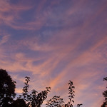 Red Sky in the Morning, Sailors Take Warning