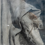 From the series: "In close touch"