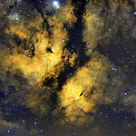 Golden Butterfly Nebula