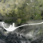 From the series: "In close touch"