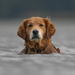 Come on in, the water is fine!