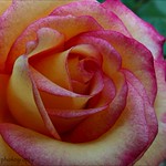 Two things you discover when you're older and wiser....