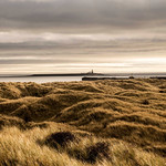 Anyone for hide and seek?