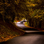 driving down the winding autumn road. Near Honfleur, Calvados, Normandie (Normandy), France.