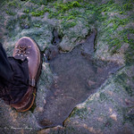 Dinosaur Footprints 15-Nov-19 M_003