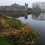 Day 6 (12 day Challenge)