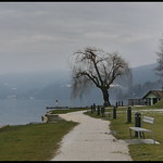 20090125 S 726 MWF_08 Maria W&ouml;rth 7459 PhotosAK&auml;rnten