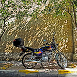 Istanbul (Turquie) / Istanbul (Turkey)