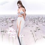 No Footprints Left Behind