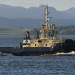Svitzer Milford - Greenock - 20-03-20