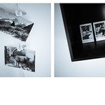 what have you been up to lately?