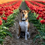 ... mein geliebter, kleiner Freund ...