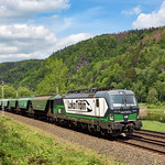 Next time with new Brake(s) - 193 220