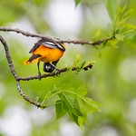 When The World is Upside Down