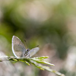 Je me pose et pose !!