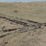 DPRR, UP Dent Branch