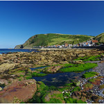 Crovie