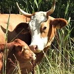 Give me kiss DSCN5264