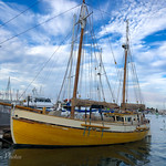 Point Loma marina