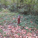 IMG_5114 012 Milepost 122