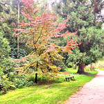 The Ch&acirc;teau Dressed in Colours, Again!