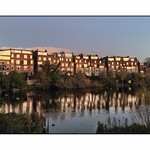 Dusk Reflections on the Heath &hellip;