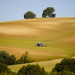 "Campos de Castilla"Explore 26/11/2020