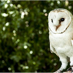 0015- UN POSADO - PARQUE DE LAS CIENCIAS- GRANADA -