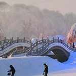 Phot.Harbin.City.Bridge.Snow.01.010905.4837.jpg