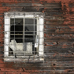 Red Barn at Bear Creek Quarter Horse farm