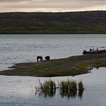 Any Excuse to Visit Katmai National Park