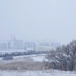 Fuzzy, Flurried View