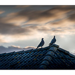 Rendez vous au sommet