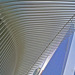 The Oculus & Freedom Tower One 1 WTC World Trade Center Lower Manhattan New York City NY P00870 DSC_2697