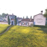 Photocontest Whimberly