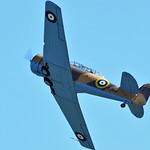 1951 North American T6 Harvard AJ841 G-BJST Wacky Wabbit RAF Desert Airforce