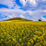 LES C&Ocirc;TEAUX DE COURNON D'AUVERGNE, UN AIR DE TOSCANE...