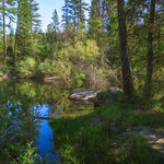 Morning Along Hirschman Trail