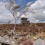 _IMG8555 Millstone Edge, Derbyshire