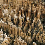 Amphitheater Hoodoos under soft light