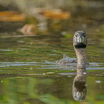 Face to face / Face &agrave; face