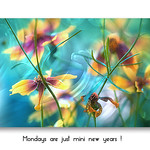 Mondays are just mini new years :-)