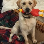 You mean I can keep this?