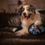 Ready to OddBall! (30/52)