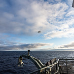 Search and Rescue Dia 1 - Asarex 21