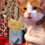 Smirnoff, our baby,....