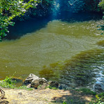 LE MASSIF DU CEZALLIER AU COEUR DE L' AUVERGNE !
