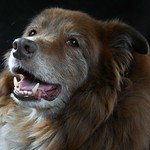 Our Little Sweetheart